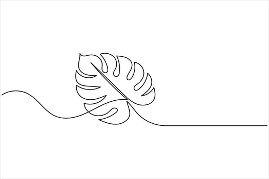 Minimalist continuous single line monstera tropical plant leaf vector