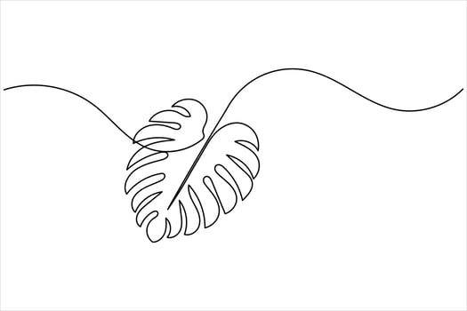 Simple continuous line art of monstera leaf on white background vector