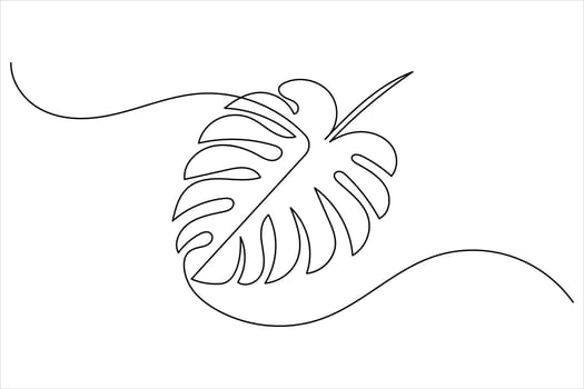 Monstera leaf continuous one line drawing in minimalist style white background vector