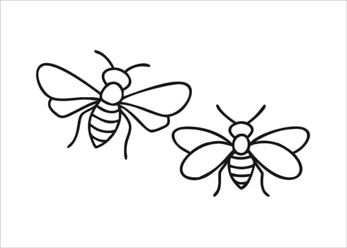 A collection of charming insect flying creatures with delicate wings and segmented bodies presented as simple graphic representations isolated on white background vector