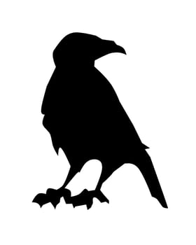 Black raven silhouette illustration, ideal for tattoo designs, mystery themes, gothic artwork, or Halloween decorations and branding. vector