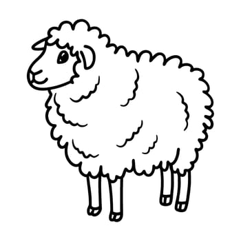 Fluffy sheep illustration cute woolly animal standing, curly fleece, simple line drawing, isolated farm livestock vector