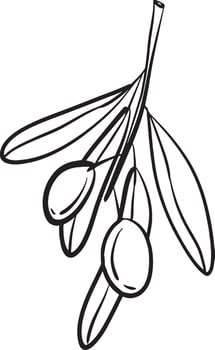 Olive Branch with Olives and Leaves vector