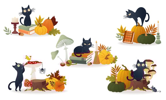 Black cats with autumn decorations vector