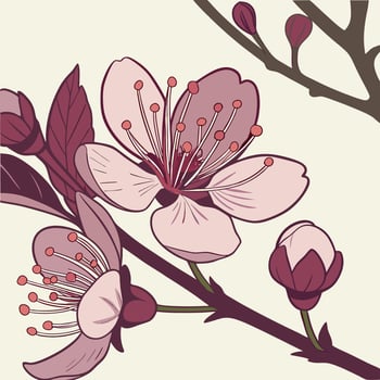 A branch of cherry blossoms with leaves and flowers vector