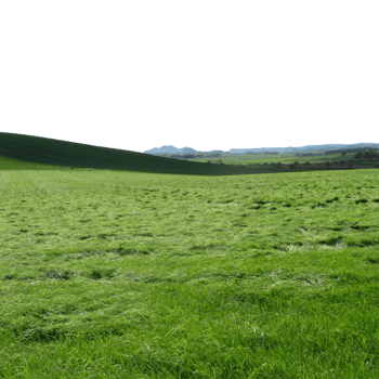 Expansive green field landscape featuring rolling hills and a clear sky backdrop isolated on transparent background png
