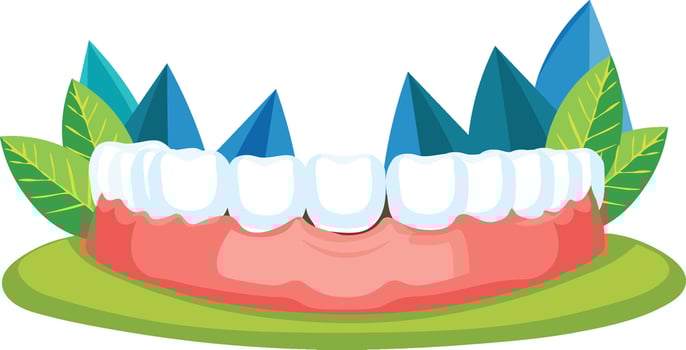 Healthy Teeth and Gums with Foliage and Geometric Shapes vector