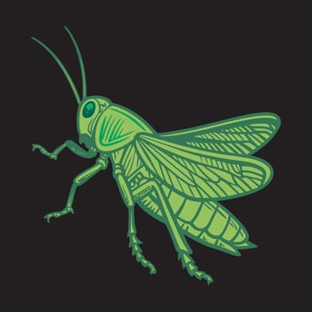 Green grasshopper logo design vector