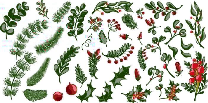 Holm and festive greenery illustration vector