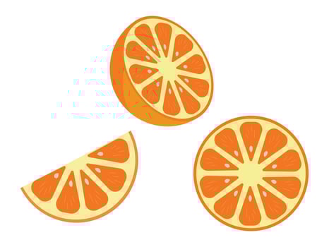 Orange Fruit Slice colorful Set. Fresh orange fruit whole and half cut. illustration vector