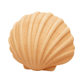 Isolated scallop seashell with beige texture on transparent background png