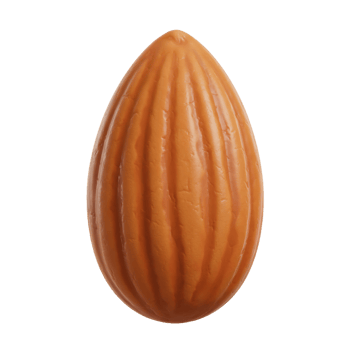 Studio shot of single almond nut on transparent background for healthy food and snack concepts png