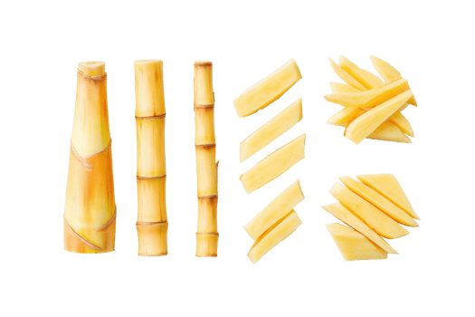 Macro Bamboo Shoots Flat-Lay Emphasizing Detail png