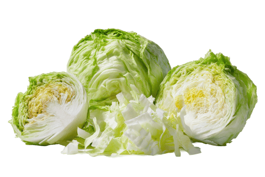 Premium Iceberg Lettuce Alignment Gourmet png