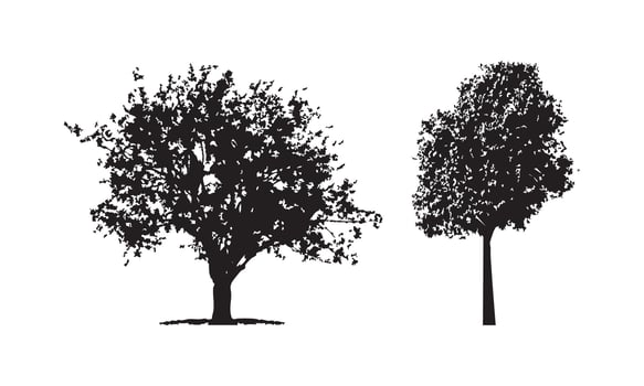 Artistic Tree Silhouette Design vector