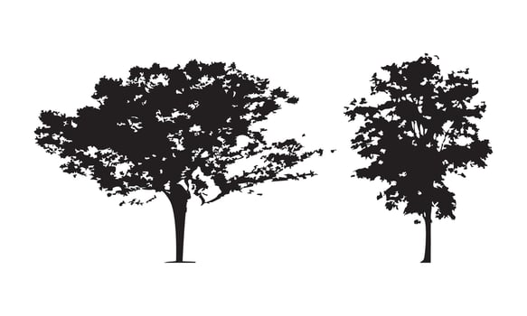 Winter Tree Without Leaves Silhouette vector
