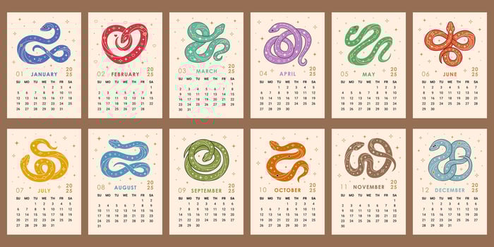 Monthly calendar pages set for 2025 year with colorful snakes in trendy style. vector
