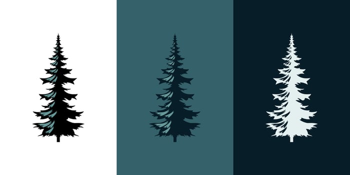 Spruce icon pine tree abstract silhouette isolated graphic vector