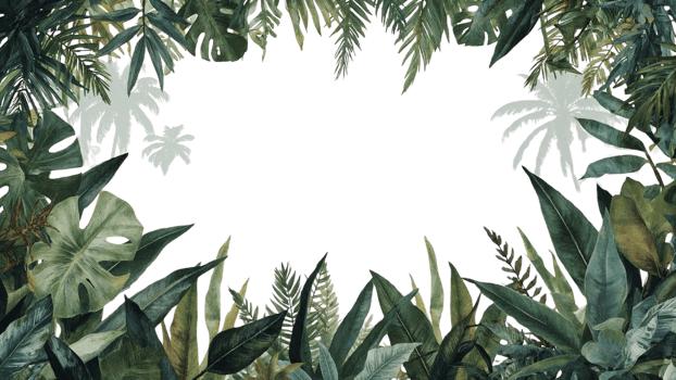 Exotic foliage arrangement with central transparency showcasing lush plant life, creating a png