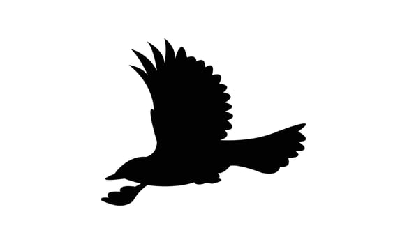 Flying American robin bird black Silhouette Design vector