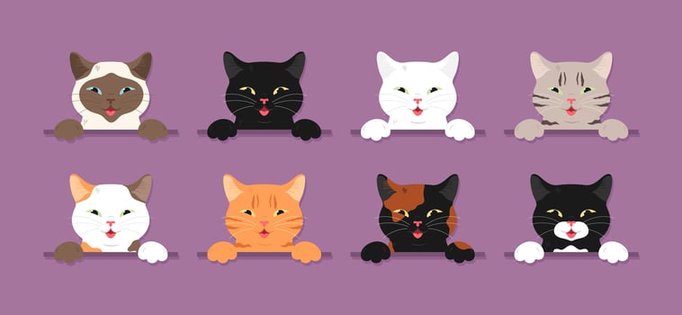 Cute cartoon cats with various expressions vector