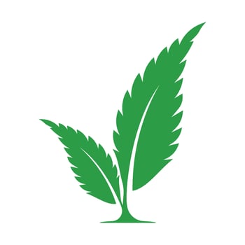 Green leaf ecology natur vector