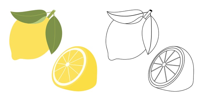 Lemons, coloring page. Illustration of fruits for kids. Children's coloring book with a color example. Outline. vector