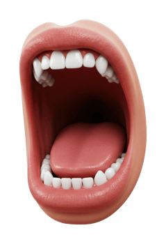 Open human mouth with visible teeth and tongue. png