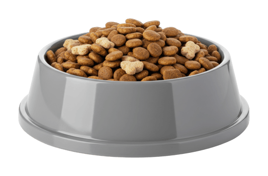 Pet food bowl filled with kibble and bone shaped treats. png