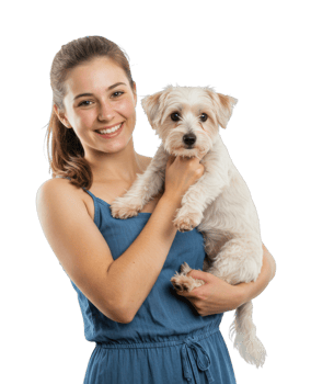 Caucasian young female holding small white dog, smiling in blue dress isolated. png