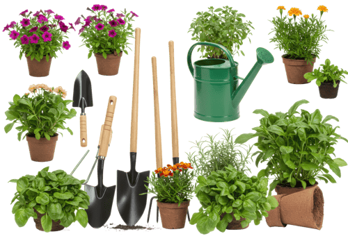 Gardening essentials variety of herbs, flowers, tools, and green watering can. png
