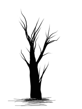 black and white drawing of a tree vector