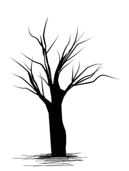 tree dead tree illustration vector
