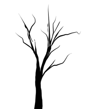 A black and white silhouette of a tree vector