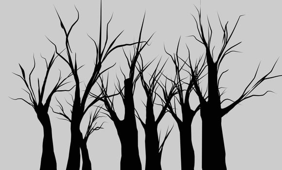 Silhouette of trees in the forest vector
