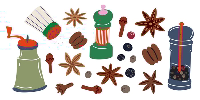 Abstract baking spices collection in cartoon flat style. Seasonings funky doodle illustration. Allspice, cloves, star anise, salt and pepper shakers. Culinary condiments vector