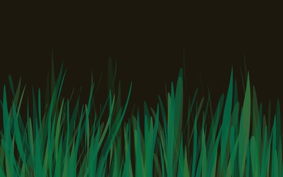 Green grass on black background vector