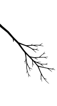 Bare Tree Branch Silhouette Illustration. vector