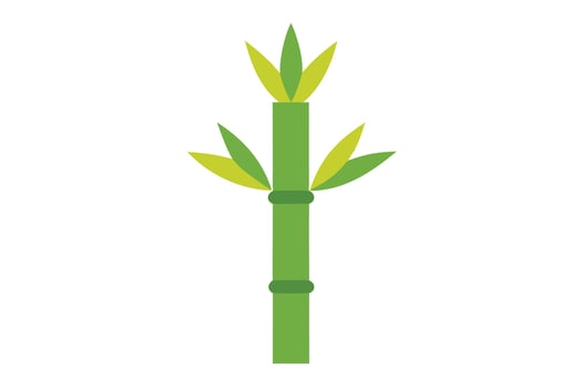 Serene Green Bamboo Shoot Growing Against White Background, Illustrative Image, Peaceful Nature Scene - Professional digital artwork with vibrant colors and detailed composition vector