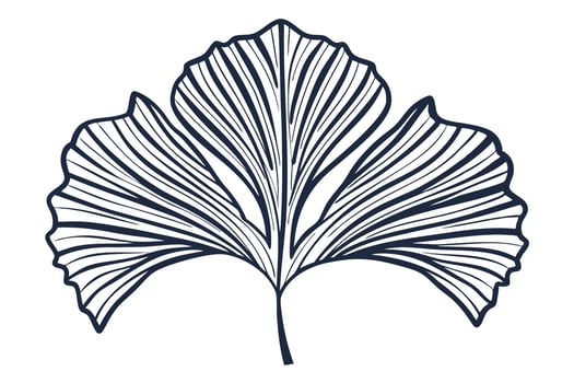 Elegant ginkgo biloba leaf illustration botanical line art, natural foliage, minimalistic nature design on white background vector