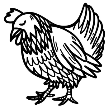 Hen illustration in black and white chicken line drawing, hand drawn farm animal, rustic sketch vector