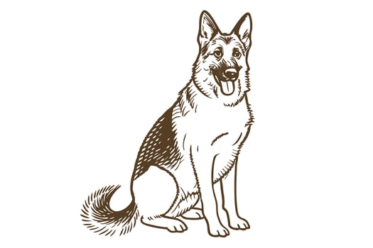 German shepherd dog sitting, attentive expression outline drawing, detailed fur, playful domestic animal illustration vector