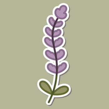Stylized lavender flower illustration vector