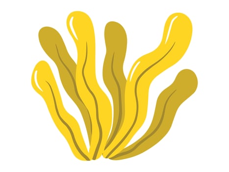 Seaweed plant Coral Reefs Illustration vector