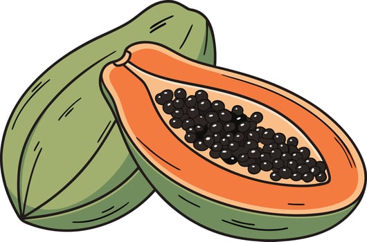 Vibrant Papaya Design Capturing Natural Shape and Bright Colors Beautiful Papaya Illustration for Culinary and Nutrition Projects vector
