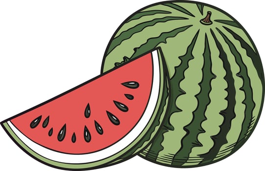 Detailed Watermelon Illustration for Packaging and Branding Organic Watermelon Illustration for Refreshing Fruit Themes vector