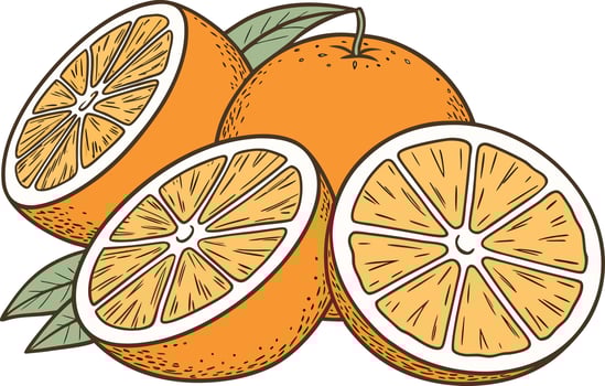 Whole Orange Illustration for Citrus Fruit Promotions Bright Whole Orange Illustration for Fresh Food Campaigns vector