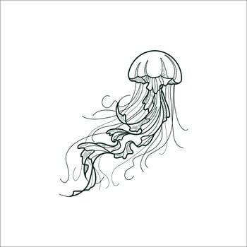 jellyfish sketch drawing artwork handmade illustration vector