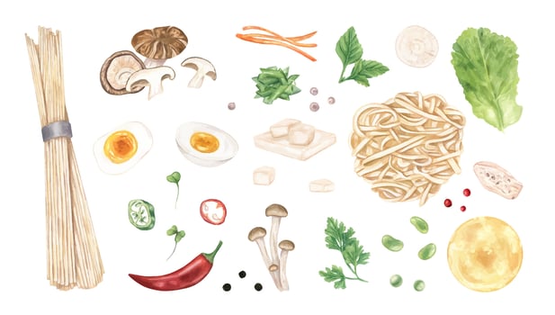 Fresh ingredients for noodle recipes vector