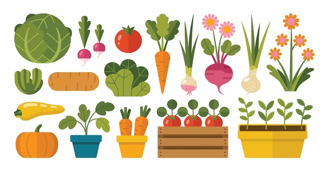 Cartoon Garden Vegetables and Flowers Collection illustration vector